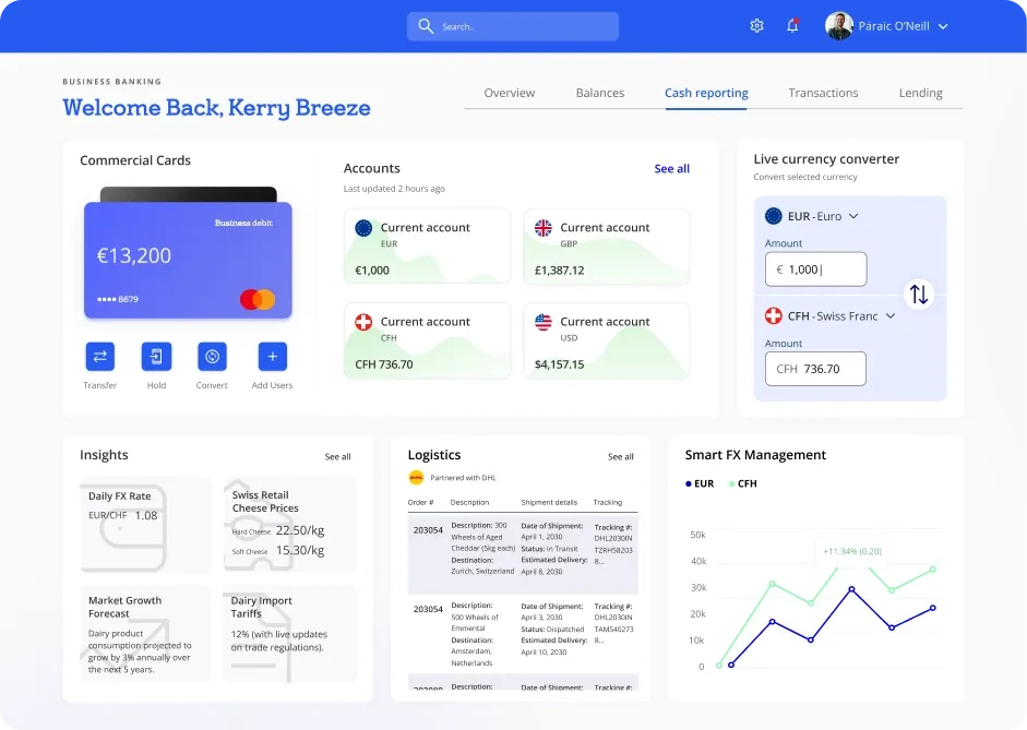 Business banking dashboard with multi-currency accounts, FX management and AI market insights